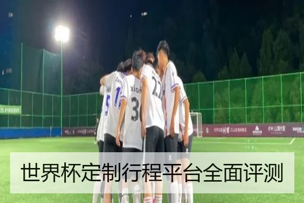 世界杯定制行程平台全面评测