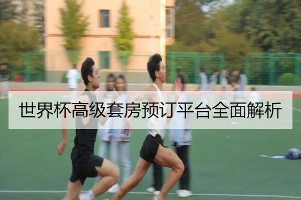 世界杯高级套房预订平台全面解析