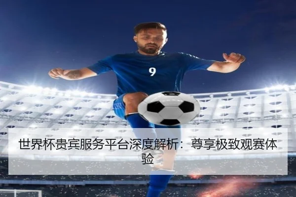 世界杯贵宾服务平台深度解析：尊享极致观赛体验