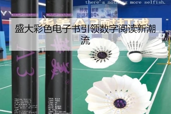 盛大彩色电子书引领数字阅读新潮流
