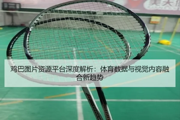 鸡巴图片资源平台深度解析：体育数据与视觉内容融合新趋势