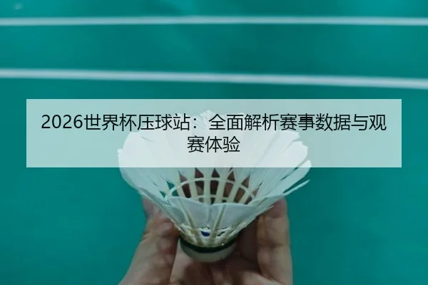 2026世界杯压球站：全面解析赛事数据与观赛体验