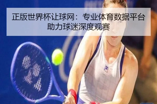 正版世界杯让球网:专业体育数据平台助力球迷深度观赛
