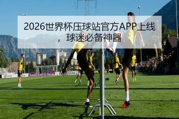 2026世界杯压球站官方APP上线，球迷必备神器